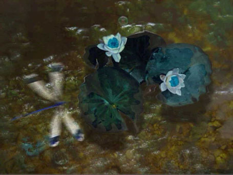 WB Water Dragonfly Screenshot